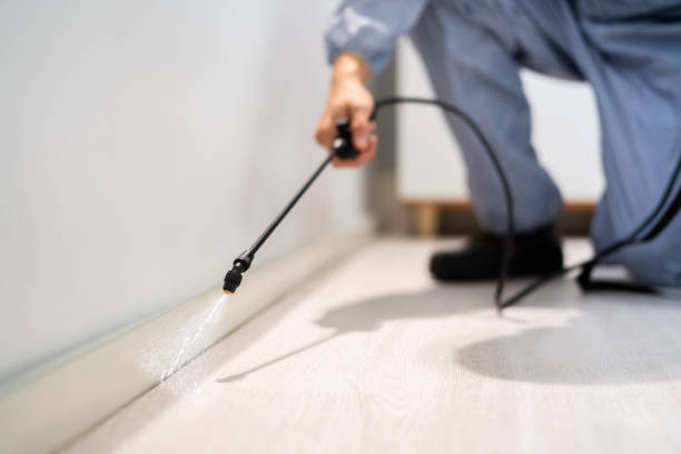 Licensed Mosquito Control service in Danbury, CT - Show Me Pest Control