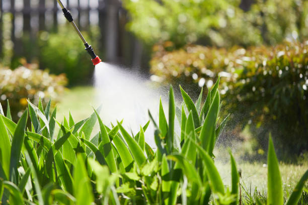 24/7 Emergency Mosquito Control experts in Danbury, CT