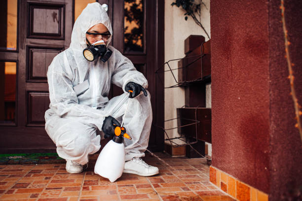 Reliable Mosquito Control contractor in Danbury, CT by Show Me Pest Control