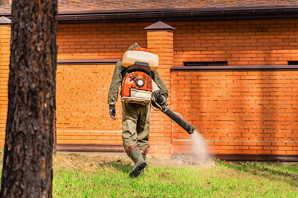 Top rated local Mosquito Control specialists in Danbury, CT